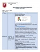 CRONOGRAMA DE ACTIVIDADES 4°