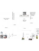 Origen en Sistema del Seguro Social