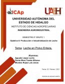 Leche en polvo entera