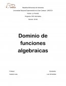 Dominio de funciones algebraicas