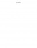 EL CONTADOR PÚBLICO EN LA DIRECCIÓN EMPRESARIA Y SU FORMACIÓN