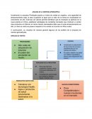 ANALISIS DE LA EMPRESA (PINNEAPPLE)