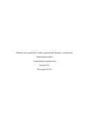 Dinámicas de la organización: cambio organizacional, liderazgo y comunicación