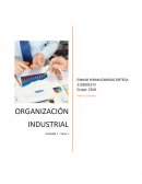 ACTIVIDAD 1 ORGANIZACIÓN INDUSTRIAL