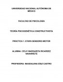 TEORÍA PSICOGENÉTICA CONSTRUCTIVISTA