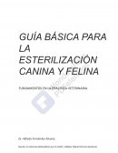GUÍA BÁSICA PARA LA ESTERILIZACIÓN CANINA Y FELINA