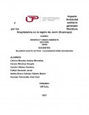 Impacto Ambiental y sanitario generado por los Residuos Hospitalarios en la región de Junín (Huancayo)
