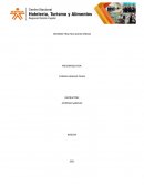 INFORME PRACTICA QUESO CREMA