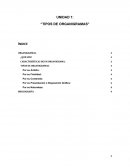 Tipos de organigramas