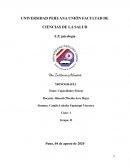 La importancia que tienen las capacidades físicas en nuestra formación