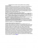 Hidrodinamia de la circulación vascular periférica normal y patológica