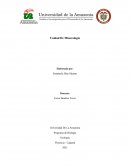 Unidad De Mineralogía