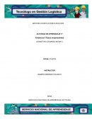 GESTION LOGISTICA FASE EJECUCION