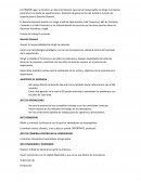 Puesto de trabajo Funciones Gerente General