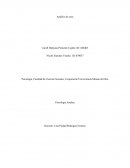 Analisis de caso Identificación del tipo de victimización