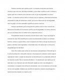 LAS ESFERAS DE LA ESTRUCTURA SOCIAL, EJES DE DESIGUALDAD Y ACTORES SOCIALES