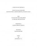 FOCOS DE INFECCIÓN E INSALUBRIDAD (LA CREACIÓN COMO DON DE DIOS)