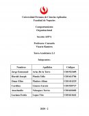 Comportamiento Organizacional