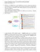 Examen de Didáctica General - 1er año del Prof. De Educación Inicia