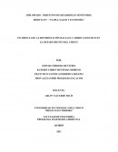INCIDENCIA DE LA DEFORESTACIÓN HACIA EL CAMBIO CLIMÁTICO EN EL DEPARTAMENTO DEL CHOCÓ