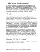 ¿Qué es una línea de productos?