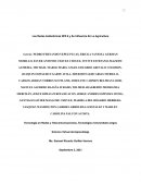 Las Redes Inalámbricas Wifi 6 y Su Influencia En La Agricultura