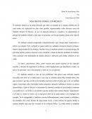 MALTRATO ANIMAL EN MÉXICO