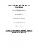 FORTALEZAS Y DEBILIDADES DEL SISTEMA DE SALUD DE MÉXICO