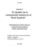 Ensayo Alfabetización Académica