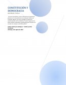 CONSTITUCIÓN Y DEMOCRACIA. ACCIÓN DE TUTELA