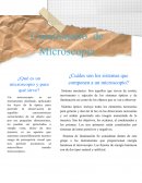 Cuestionario Microscopia