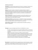 Trabajo LA EMPRESA Y SU ENTORNO