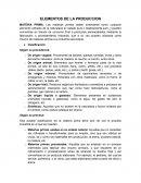 ELEMENTOS DE LA PRODUCCION