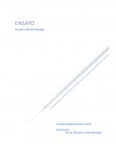 Ensayo Final legislacion