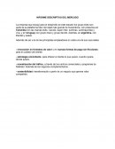 INFORME DESCRIPTIVO DEL MERCADO