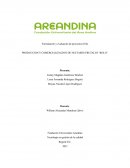 PRODUCCION Y COMERCIALIZACION DE NECTARES FRUTALES “ROLO”