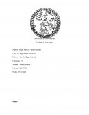 TIF Trabajo Integrador Final Salud Publica y Salud Mental De Lellis