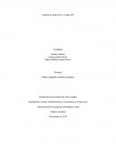 Análisis tendencia a nivel internacional venta de peluches