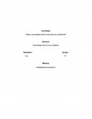 Actividad: “Marco conceptual para la solución de problemas”