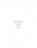 Generación y transmisión eléctrica