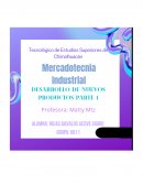 Categorías de nuevos productos y la importancia del desarrollo del mismo