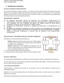 Sistemas e Instituciones Financieras