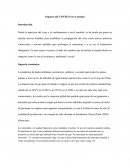 Impacto del COVID 19 en el mundo