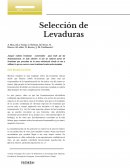 Selección de levaduras