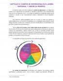CAMPOS DE EXPERIENCIAS EN EL JARDÍN MATERNAL Y JARDÍN DE INFANTES