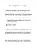 Cultura organizacional en empresas