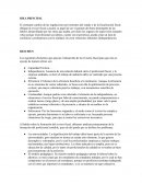 Formación del revisor fiscal