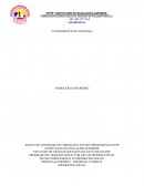 PROGRAMA DE TRABAJO SOCIAL POR CICLOS PROPEDEUTICOS