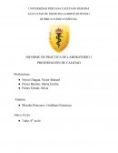 INFORME DE PRÁCTICA DE LABORATORIO 1 PRESERVACIÓN DE CALIDAD