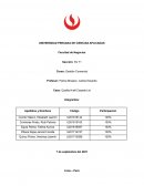 Caso: Quality Kraft Carpets Ltd